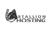 Go to StallionHosting Coupon Code