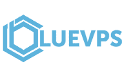 Go to BlueVPS Coupon Code