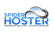 SpiderHoster Coupon Code and Promo codes