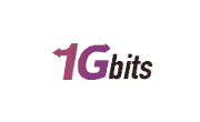 1GBits Coupon Code and Promo codes